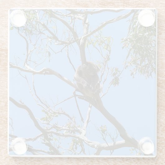 Koala Nickerchen Glasuntersetzer (Rückseite)