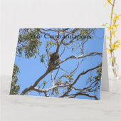 Koala Nickerchen Karte (Gelbe Blume)