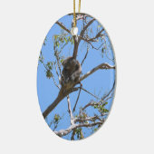 Koala Nickerchen Keramik Ornament (Links)