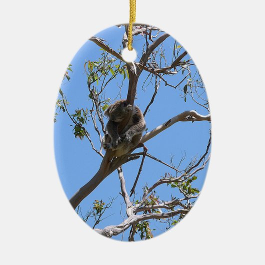 Koala Nickerchen Keramik Ornament (Vorne)