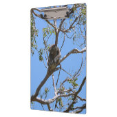 Koala Nickerchen Klemmbrett (Links)