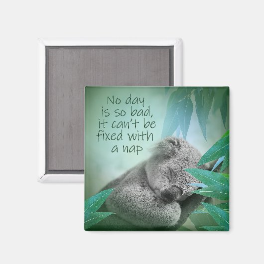 Koala Nickerchen Magnet (Vorderseite/Rückseite)