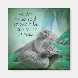 Koala Nickerchen Magnet
