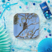 Koala Nickerchen Pappteller (Party)