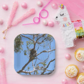 Koala Nickerchen Pappteller (Party)