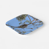 Koala Nickerchen Pappteller (Gewinkelt)