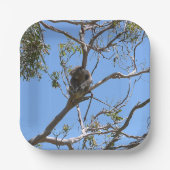Koala Nickerchen Pappteller (Vorderseite)