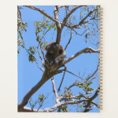 Koala Nickerchen Planer (Rückseite)