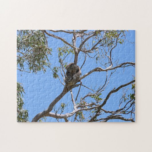 Koala Nickerchen Puzzle (Horizontal)