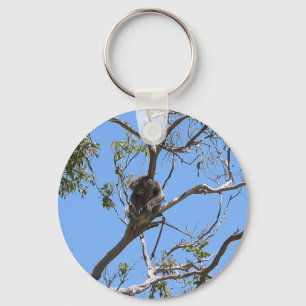 Koala Nickerchen Schlüsselanhänger