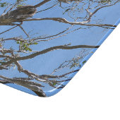 Koala Nickerchen Schneidebrett (Ecke)