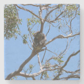 Koala Nickerchen Steinuntersetzer (Vorderseite)