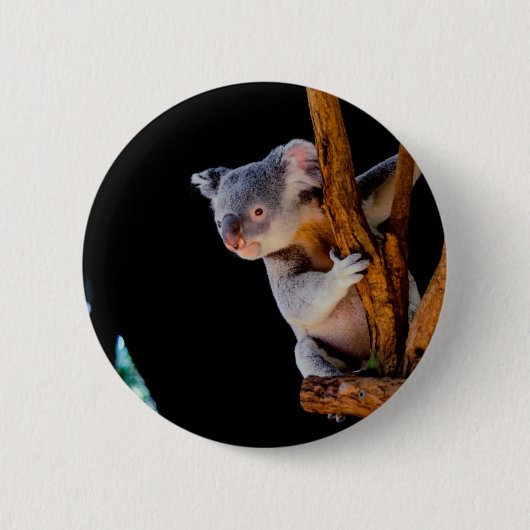 Koala Niedlich in Tree Gray Button (Vorderseite)