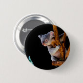 Koala Niedlich in Tree Gray Button (Vorne & Hinten)