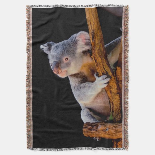 Koala Niedlich in Tree Gray Decke (Vorderseite Vertikal)