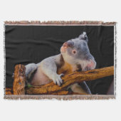 Koala Niedlich in Tree Gray Decke (Vorderseite)