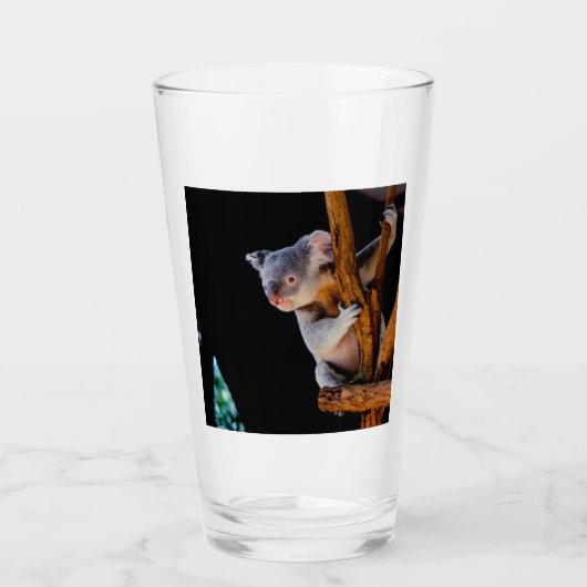 Koala Niedlich in Tree Gray Glas (Vorderseite)