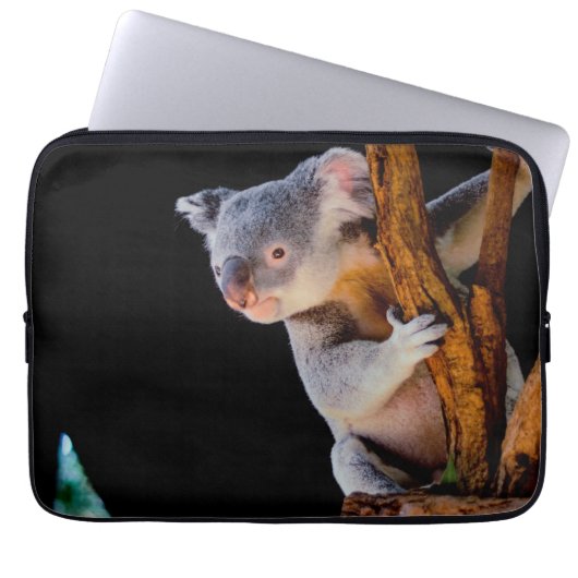 Koala Niedlich in Tree Gray Laptopschutzhülle (Vorderseite)