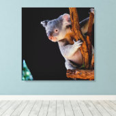 Koala Niedlich in Tree Gray Leinwanddruck (Insitu (Holzboden))