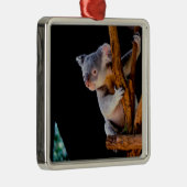 Koala Niedlich in Tree Gray Ornament Aus Metall (Rechts)
