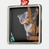 Koala Niedlich in Tree Gray Ornament Aus Metall (Links)