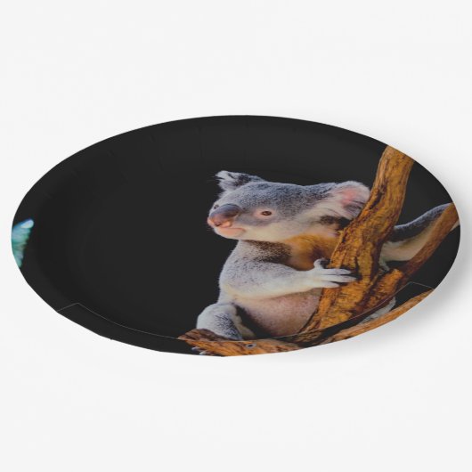 Koala Niedlich in Tree Gray Pappteller (Schrägansicht)