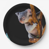 Koala Niedlich in Tree Gray Pappteller (Vorderseite)