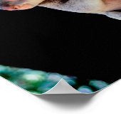 Koala Niedlich in Tree Gray Poster (Ecke)