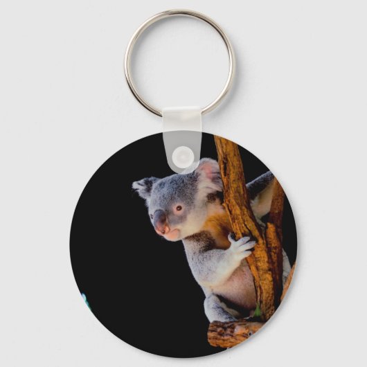 Koala Niedlich in Tree Gray Schlüsselanhänger (Vorderseite)