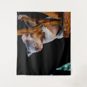 Koala Niedlich in Tree Gray Wandteppich (Vorderseite)