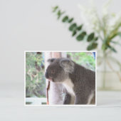 koala niedlich postkarte (Stehend Vorderseite)