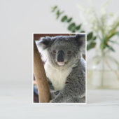 koala niedlich postkarte (Stehend Vorderseite)