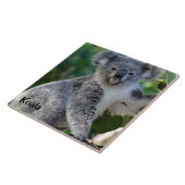 Koala: Niedliche, kuschelige australische Koala Fliese (Seite)
