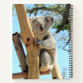Koala-Notebook - 8.5x11, 8.5 x 8.5 oder Herzform Notizblock (Rückseite)