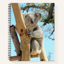 Koala-Notebook - 8.5x11, 8.5 x 8.5 oder Herzform Notizblock