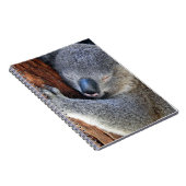 Koala Notizblock (Rechte Seite)