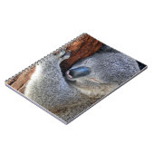 Koala Notizblock (Linke Seite)