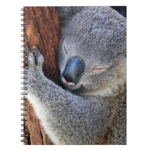 Koala Notizblock (Vorderseite)