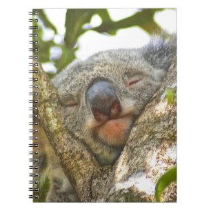 Koala-Notizbuch Notizblock