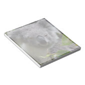 Koala-Notizen Notizblock (angewinkelt)