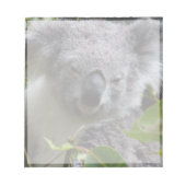 Koala-Notizen Notizblock (Vorderseite)