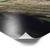 Koala, Phascolarctos cinereus, Australien Fotodruck (Ecke)