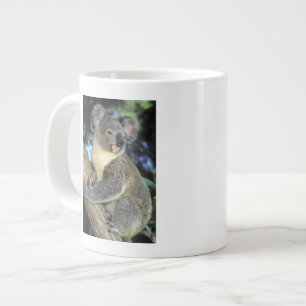 Koala, Phascolarctos cinereus, Australien Jumbo-Tasse