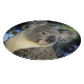 Koala, Phascolarctos cinereus, Australien Schneidebrett (Ecke)