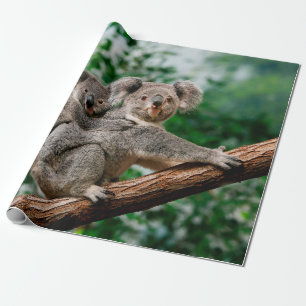 Koala, Phascolarctos cinereus, Frauen, die dich tr Geschenkpapier