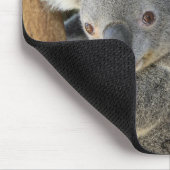 Koala Phascolarctos cinereus Queensland . Mousepad (Ecke)