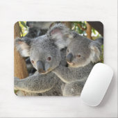 Koala Phascolarctos cinereus Queensland . Mousepad (Mit Mouse)