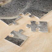 Koala Phascolarctos cinereus Queensland . Puzzle (Seite)