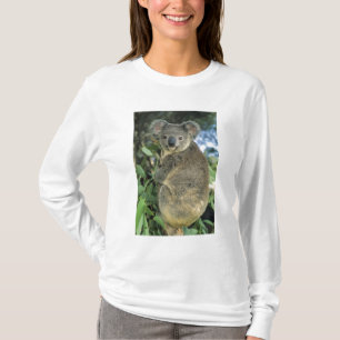 Koala, Phascolarctos cinereus), vom Aussterben bed T-Shirt