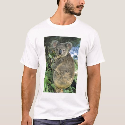 Koala, Phascolarctos cinereus), vom Aussterben bed T-Shirt (Vorderseite)